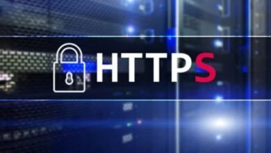 Why You Need HTTPS: Protecting Your Data Online